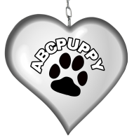 company-profile-clients-logo